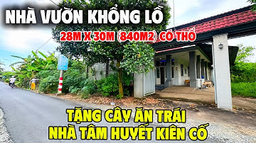 Tập 264 | Nhà Vườn View Kênh Toàn Cây Ăn Trái Cổ Thụ (840m2) 28M Ngang Mặt Tiền Nhựa | Trường Sơn