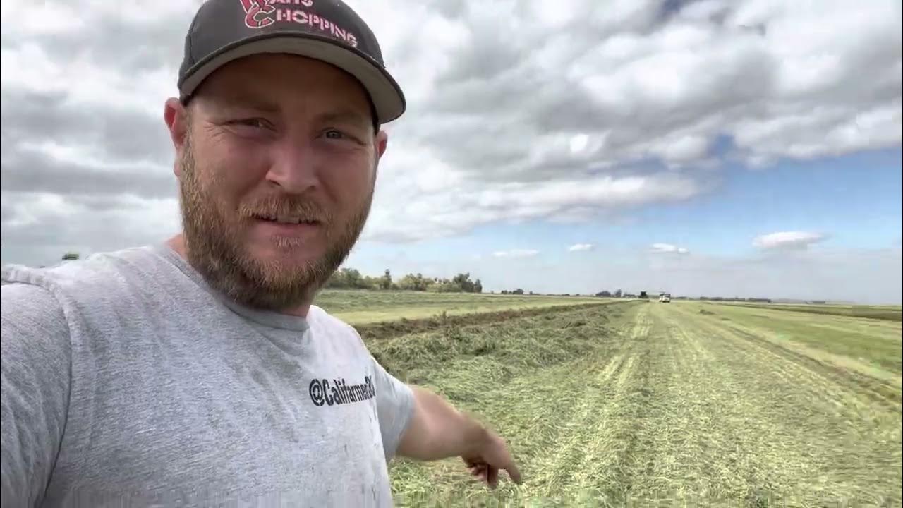 4 different brands of swathers in the same field! YouTube 4 different brands of swathers in the same field! YouTube