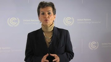 UNFCCC Executive Secretary video address to Oslo REDD Exchange 2013