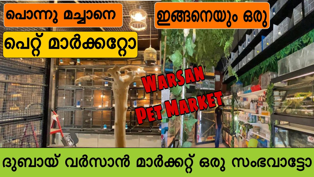 ഇതൊരു സംഭവമാട്ടൊ/International pet market Dubai/Al Warsan Pet Market