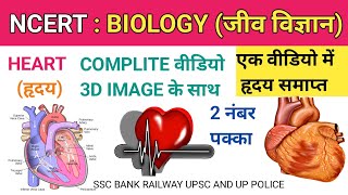 मानव हृदय | Human heart structure and function | Biology  | Upendra maths #heart