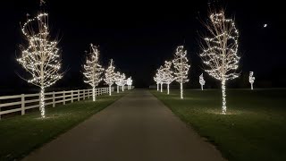 Getting a Start on Our Christmas Lights! 🎄🙌🎅 // Garden Answer