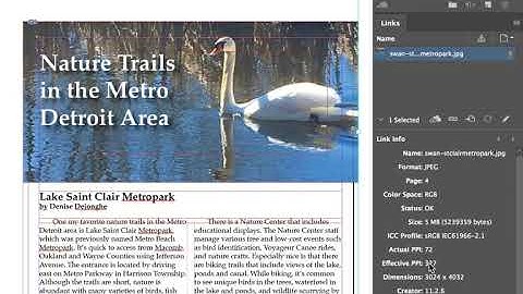 Image Resolution in InDesign