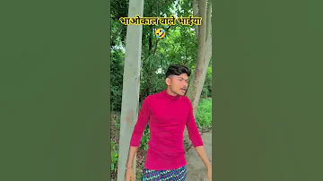 Sher Hayin Shona Ham Akele Fhariyayile Shortvideos Bhojpuri Song Tranding Viralvideo 