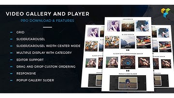 Video Gallery and Player Pro | Codecanyon Scripts and Snippets