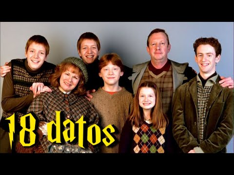 Video: ¿Cuántos weasley hay?