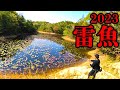 【雷魚】ロッドテストを包み隠さず見せます【2023】