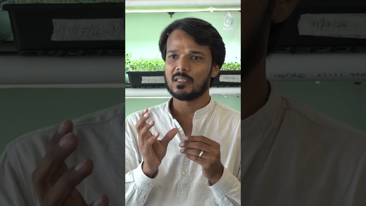 Aeroponics vs NFT Hydroponics | Key Differences in Modern Farming Systems | Badal Gaya Karobar