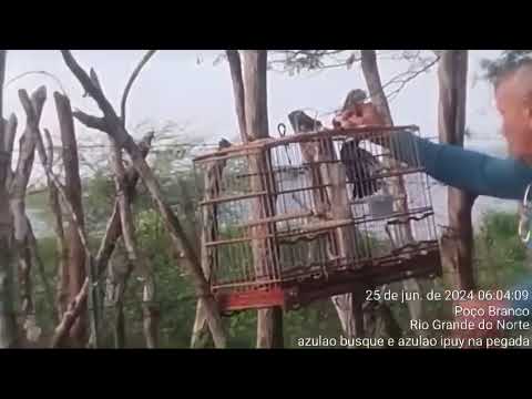 ผลสลากกินแบ่งรัฐบาล วันที่ 1 พย. 2567