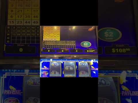 Experimente o melhor de apostas desportivas e casino online com o bónus WinBay em Portugal