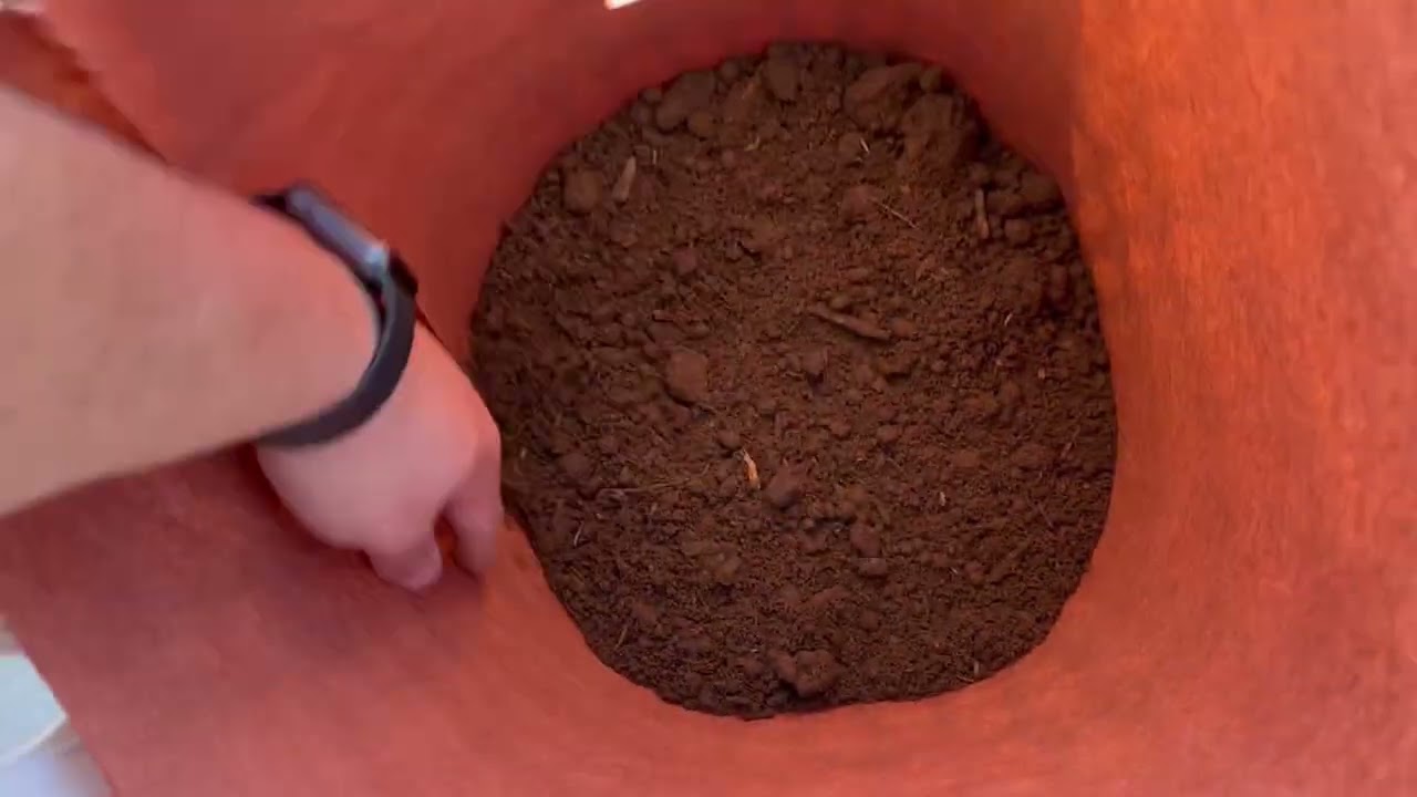 Growing a year supply of potatoes!