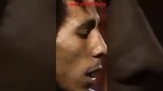 Bob Marley Song's || The Wailers
