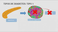 Lección 2.1 ¿Qué significa la diabetes?