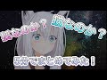 【5分でわかる】猫やんけ！狐じゃい！まとめてみた！【ホロライブ/白上フブキ】