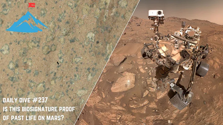 Daily Dive # 237 | Is this Biosignature Proof of Past Life on Mars?
