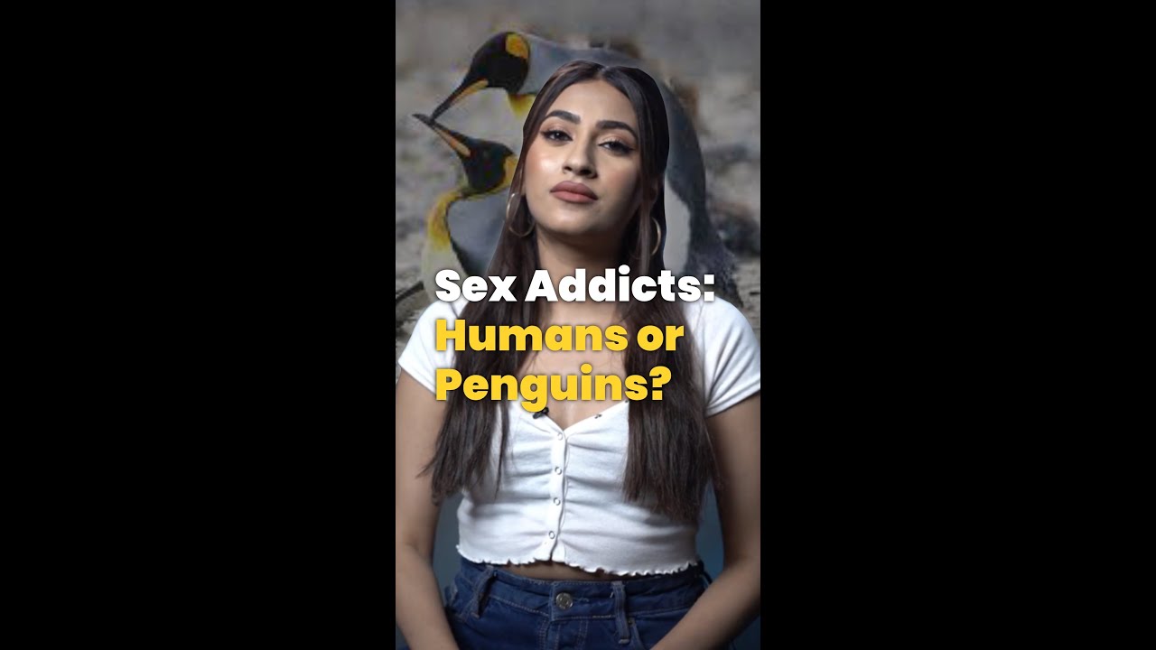 S*X Addicts - Humans or Penguins? | RAAAZ #shorts