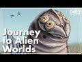 The Teeming Universe | Alien Biology