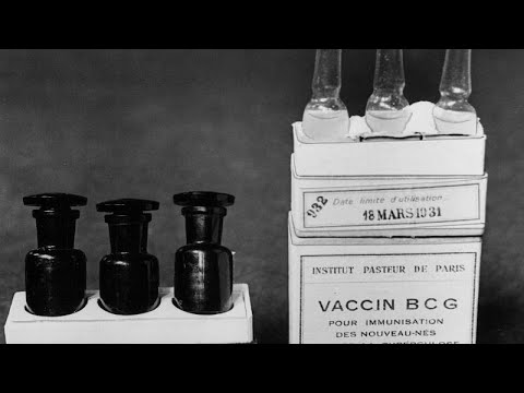 Вакцине БЦЖ — 100 лет
