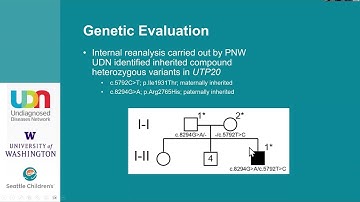 UDN Grand Rounds: Using Model Systems to Discover Disease Mechanisms & Potential Treatments