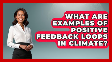 What Are Examples Of Positive Feedback Loops In Climate? - Weather Watchdog