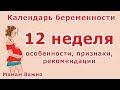 12 неделя беременности: особенности, рекомендации, изменения