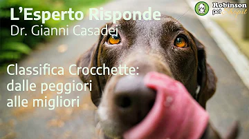 Come sono i prodotti Monge?