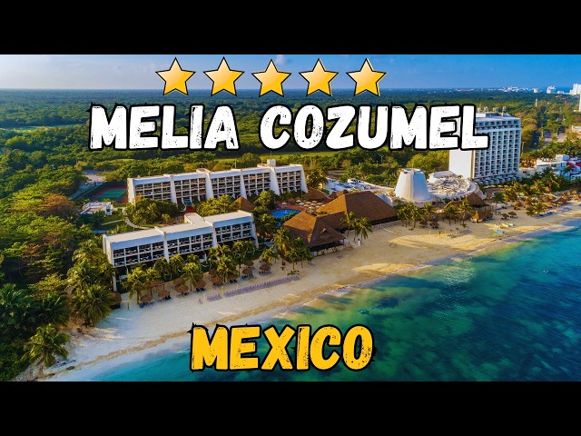 Melia Cozumel All Inclusive Review: Honest Beachfront Resort Tour