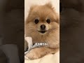 静かな時は大体悪さをしています🤦‍♀️🐾