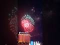 Fireworks last night #shortvideo #shortviral #shorts #youtube #fireworks #shortsfeed #explore #fyp