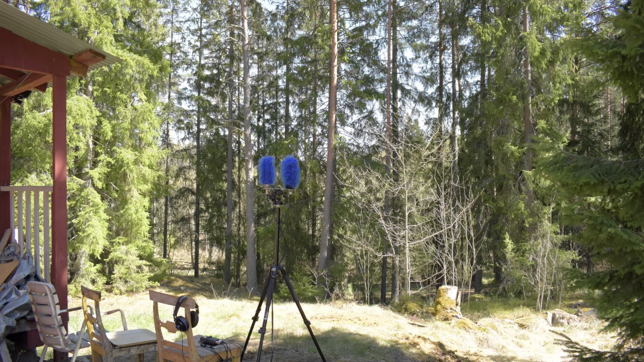 field recording zoom h5 rode nt2a stereo 5 may 2017 jönåker sweden YouTube