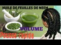 124 huile de feuilles de neem anti pelliculaire volumineux pousse rapide comment raliser