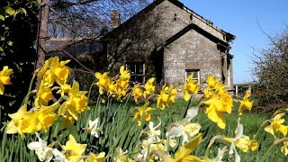 Sand, stones and spuds - the story of Ballynoe Railway Station