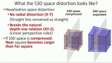 SD&A 2020: Stereoscopic 3D optic flow distortions caused by mismatches…