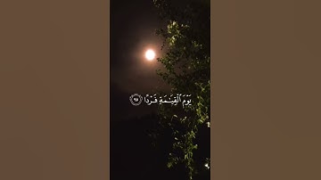 القارئ : عبد الرحمن مسعد ﴿ وَكُلُّهُمْ آتِيهِ يَوْمَ الْقِيَامَةِ فَرْدًا﴾[ مريم: 95]
