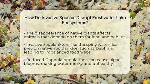 How Do Invasive Species Disrupt Freshwater Lake Ecosystems? - Ecosystem Essentials