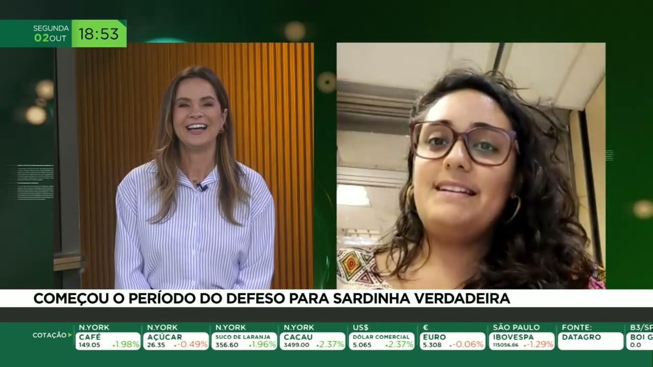 Começou o período do defeso para sardinha verdadeira