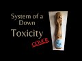 System of a down  toxicity flamenco cover by alvaro echanove