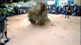 Diégoune Culture Kompo De Koubanao À Ziguinchor École Kamp.