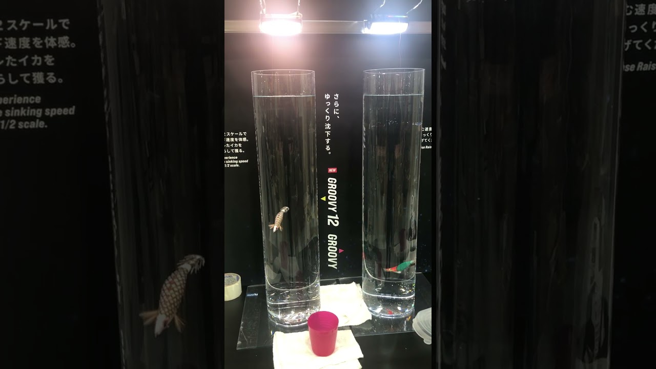 XOOX】船イカ特集！話題の新製品を紹介！ | 釣具のポイント