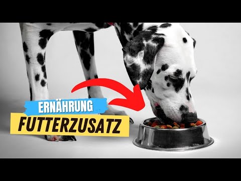 Video: Welche natürlichen Nahrungsergänzungsmittel kann ich einem Hund mit juckender Haut geben?