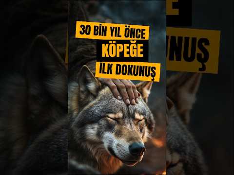30 Bin Yıl Önce: İnsan ile Köpeğin İlk Dokunuşu #köpekler