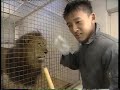 学校では教えてくれないこと!!　1994年11月19日