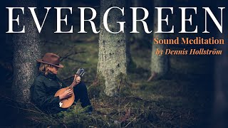 Evergreen Sound Journey