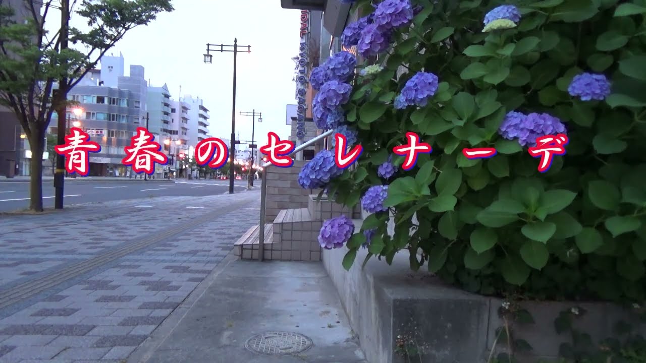 青春のセレナーデ／天地真理