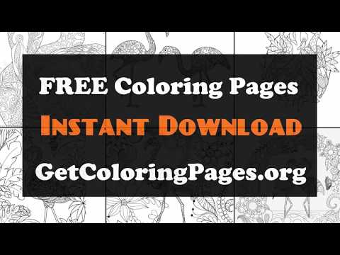 cute-flamingo-coloring-pages