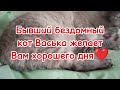 Поставьте мне лайк пожалуйста❤🐱