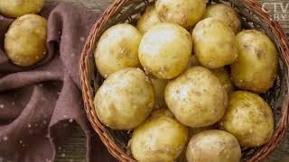 Беларусь на ладошке: Почему картошка считается символом Беларуси?