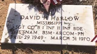 Vietnam Veterans Day Tribute