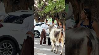 Murga andda deta h 🤣#reelsinstagram #reels #viral #prank #shorts #funny #comedy #memes