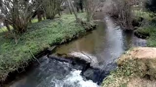 Pêche de la truite à la cuiller conseils et techniques